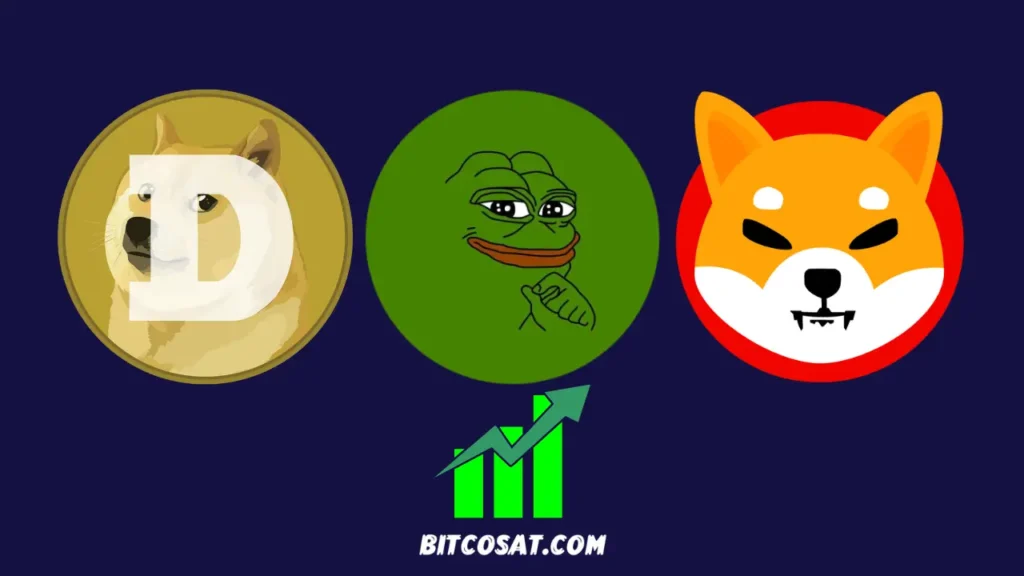 عملة بيبي تستعد للانضمام إلى دوجكوين وشيبا بحلول عام 2025 عملة بيبي