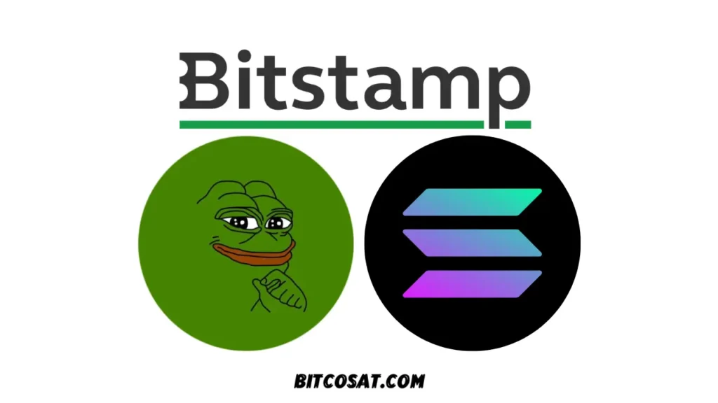 بتستامب تدرج بيبي وسولانا لعملائها في الولايات المتحدة بتستامب تدرج عملة بيبي وسولانا