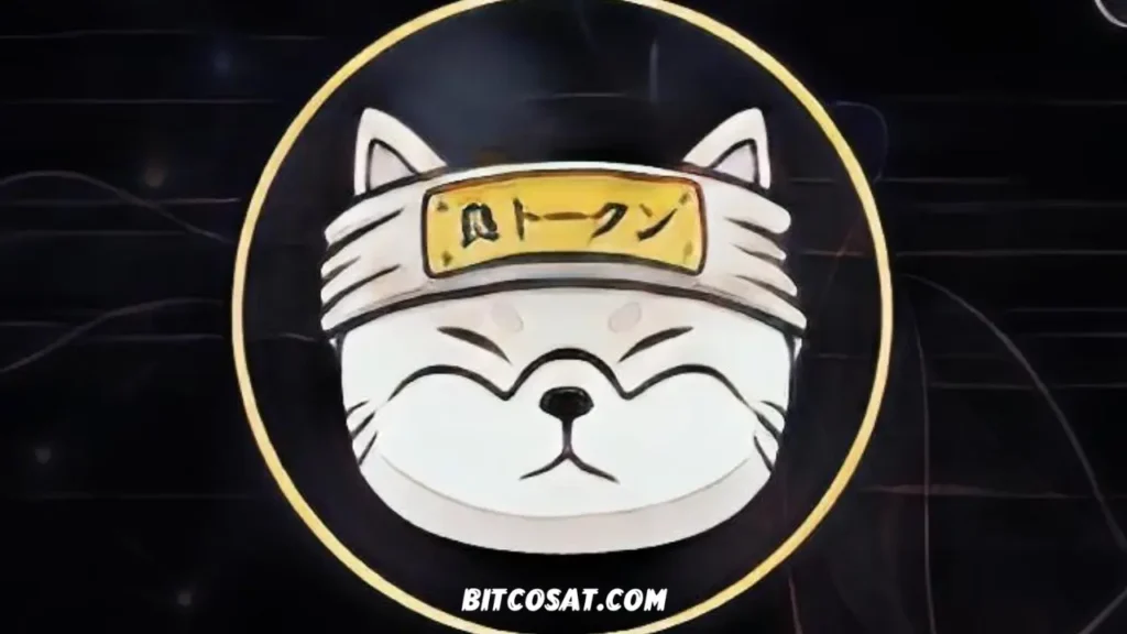 عملة Ryoshi: فهم دور ريوشي في التمويل اللامركزي عملة Ryoshi