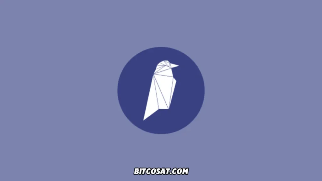 عملة رافينكوين