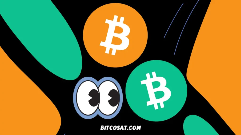 البيتكوين مقابل بيتكوين كاش: أيهما الاستثمار الأفضل؟ البيتكوين مقابل بيتكوين كاش